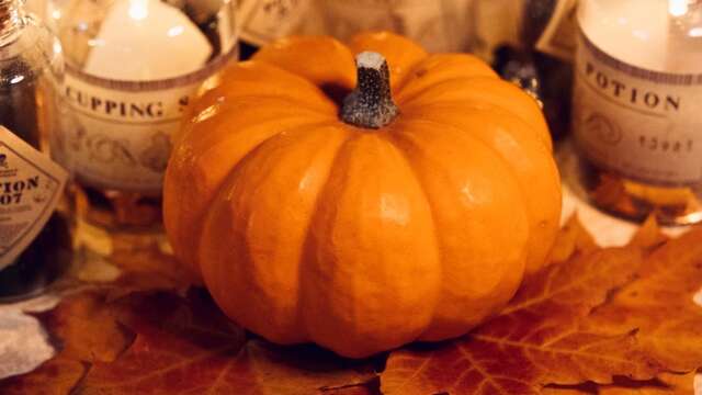 Atelier Citrouilles d'Halloween