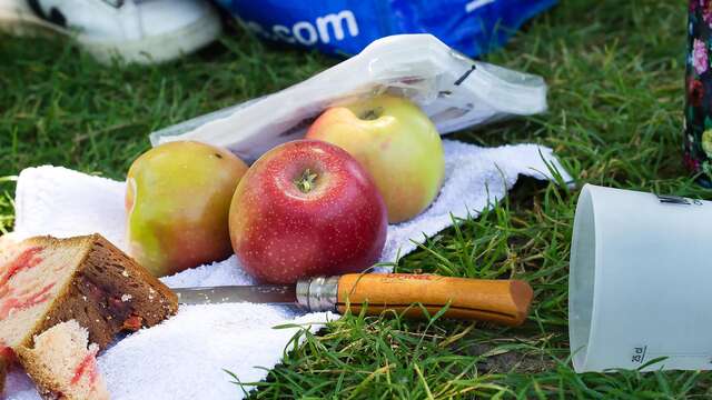 Aire de pique-nique du Boulevard du Clos de la Font