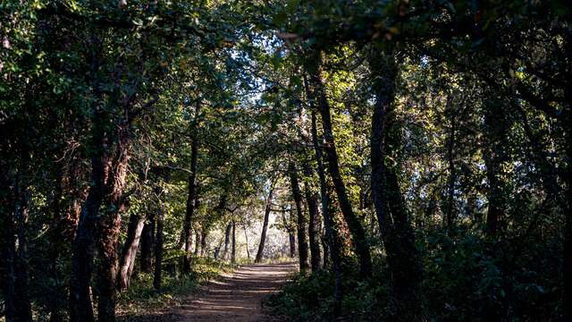 Rundweg "Le Pierredon"