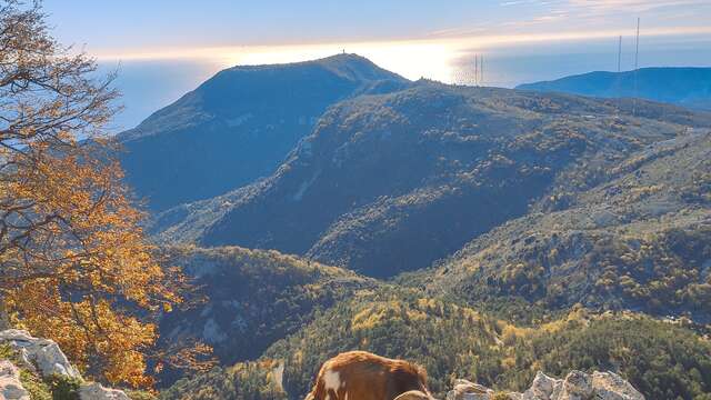 Natura 2000 :  Vallée du Careï - Collines de Castillon