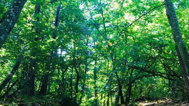 Sentier des paysages des Monts du Lyonnais : boucle ouest