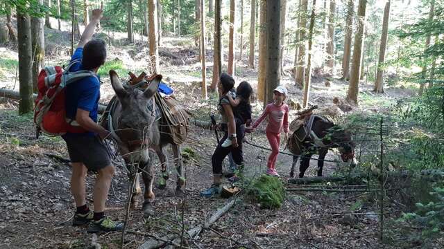 Mulane Camp - Acampar cómodamente en una tienda familiar