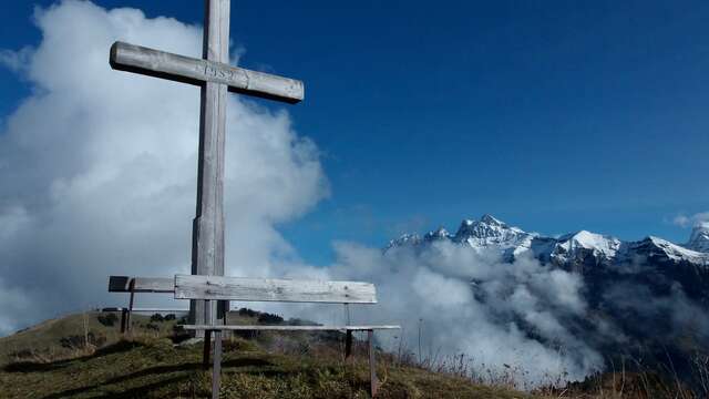 TVI 3 / variant via Pointe de Ripaille