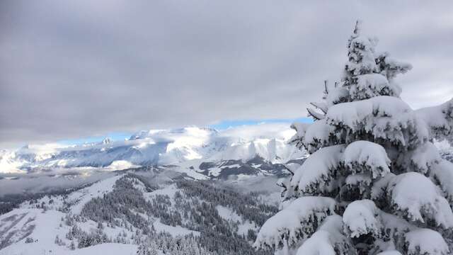 Schneeschuh-Route : Les Crêtes - Torraz - Christomet