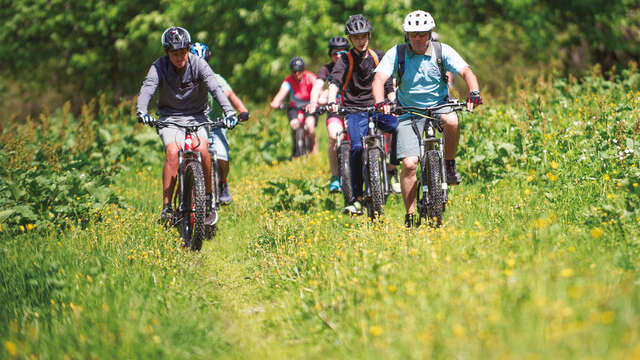 Gourmet bike tour: from ice cream parlour to vineyards