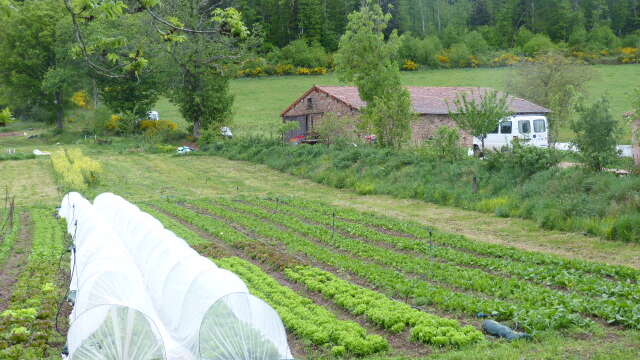 Les jardins du bois joli