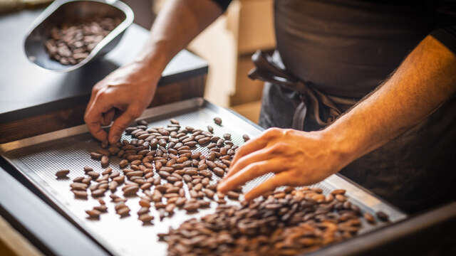 Découverte de la chocolaterie et dégustation - Shouka