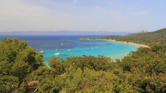 Plage de la Courtade