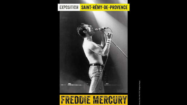 Exhibition : Freddie Mercury, never say goodbye