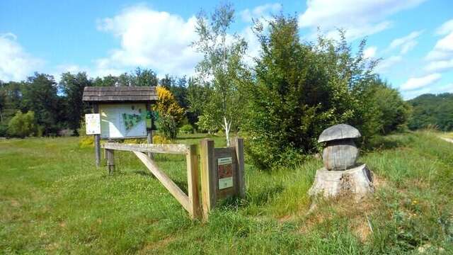 Journées Européennes du Patrimone - Visite guidée de l'arborétum
