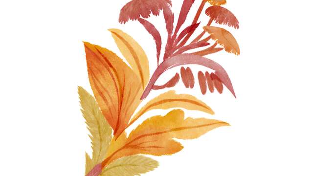 Atelier - Fleure d'automne en aquarelle