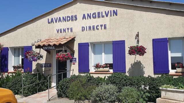 Guided tour of the Distillerie Lavandes Angelvin