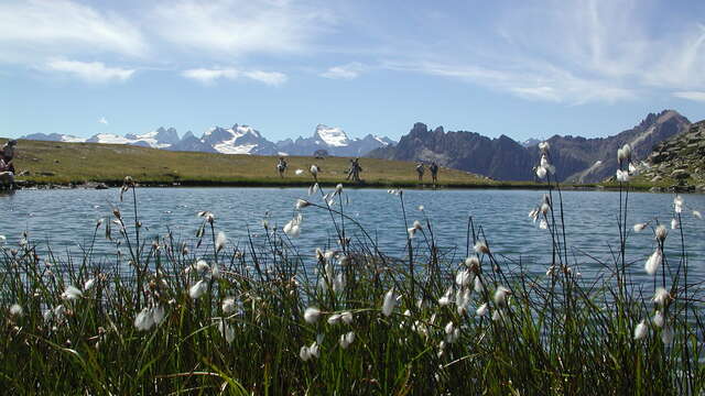 Séjour en étoile en liberté - De 2 à 7  jours - L'Échaillon