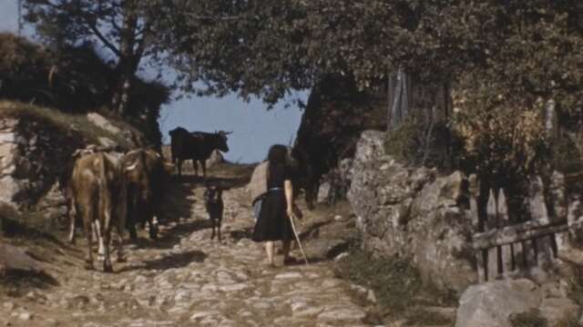 Projection de film sur l'Estive et les Hautes-chaumes