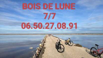 Location de vélos du bois de lune