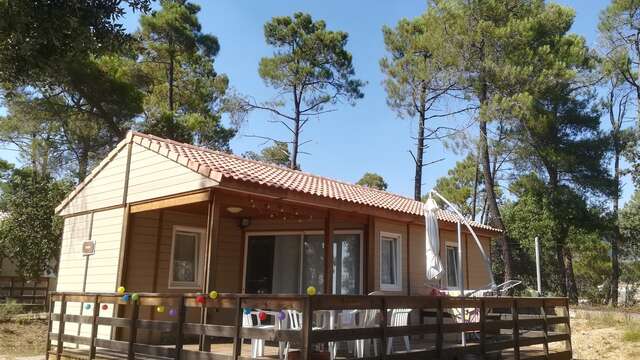 Camping Municipal la Pinède