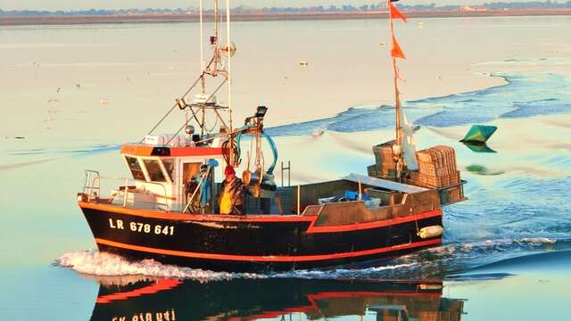 La Fille du Pêcheur sur le marché d'Ars-en-Ré