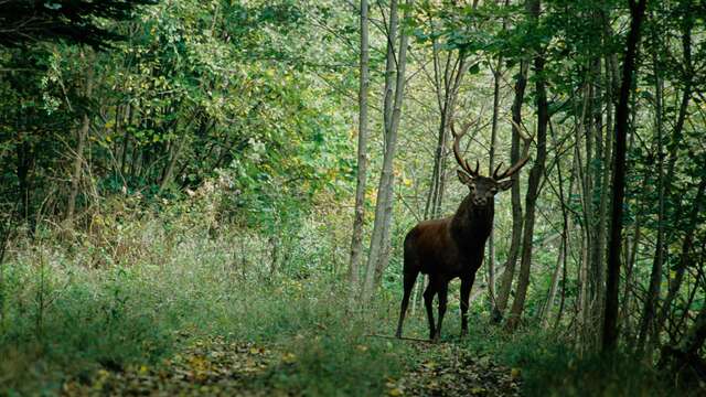 Balade nature et légendes