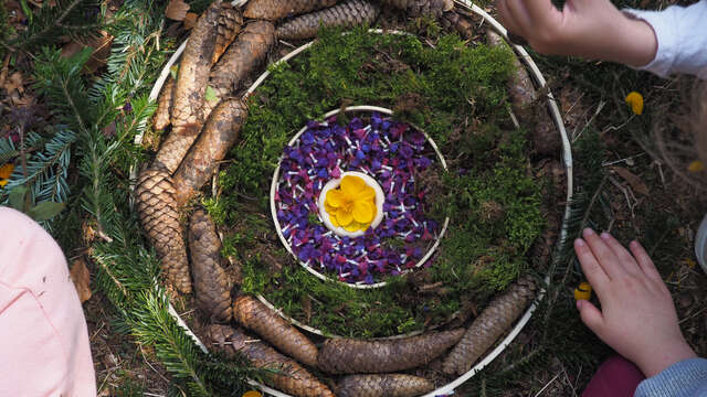 Hiking and nature activities with Impulsion