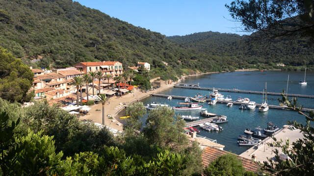 Port of Port-Cros