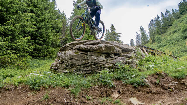 Downhill black du Loup - Downhill MTB Trail N°9