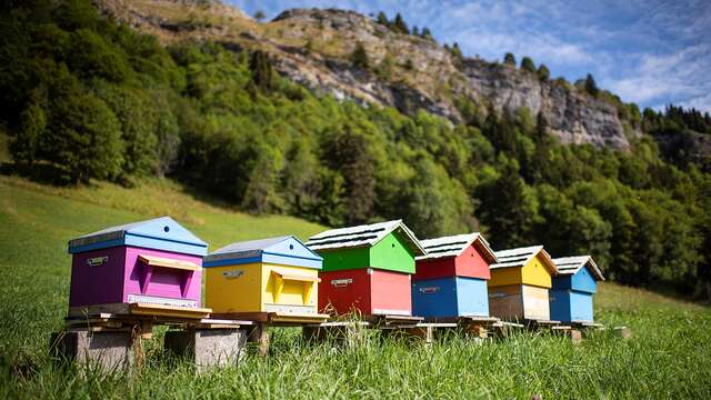 Veillée d'hiver : l'apiculture