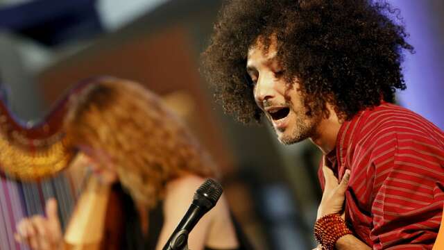 Concert/Walid Ben Selim /Les Suds en Hiver