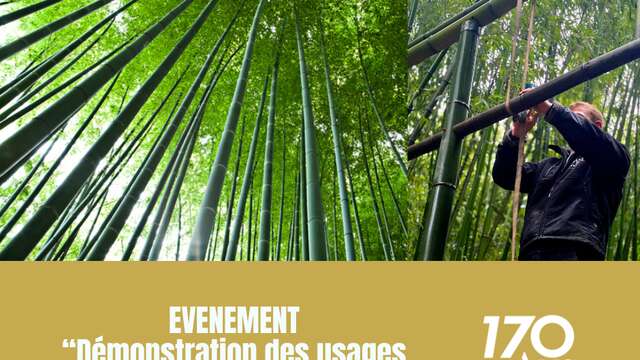 Démonstration des usages du bambou