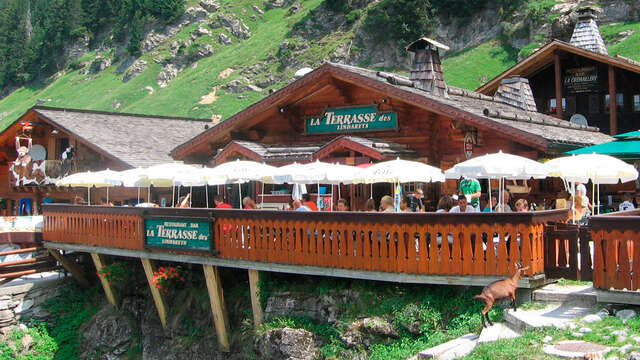 La Terrasse des Lindarets