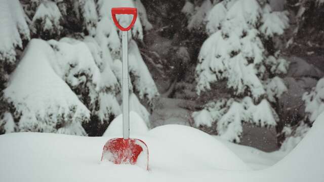 Mission avalanche : test DVA