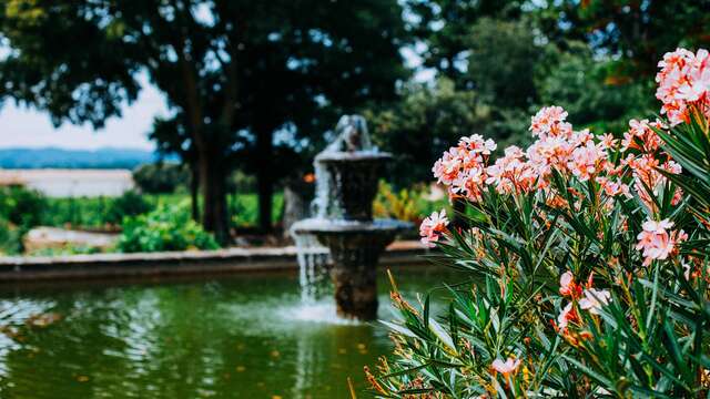 Tasting initiation workshop at Château Fortia