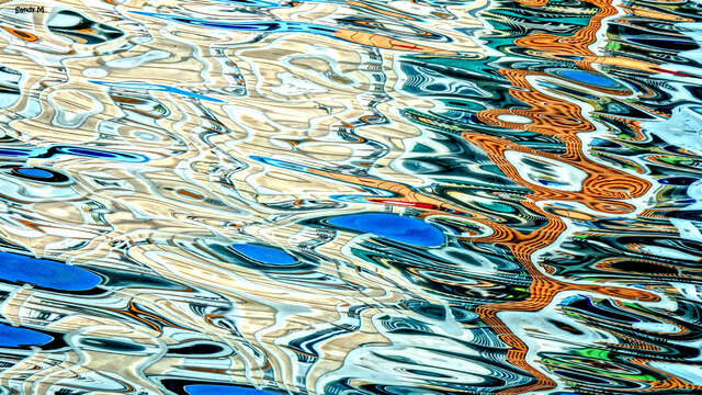 Exposition  "Effet  Mer"