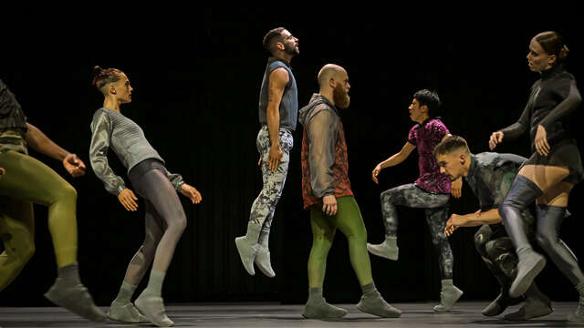 Danse : STEPS : Sphynx