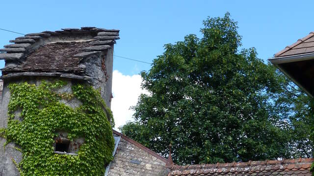 Visite guidée de Virieu-le-Grand