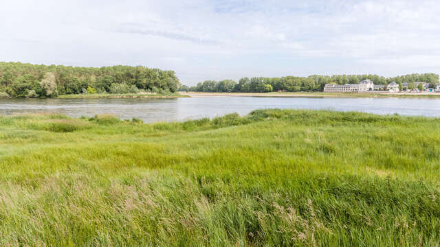 Confluence of the Maine and Loire rivers