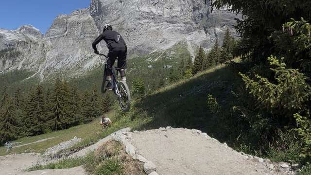 D-Fiz Downhill