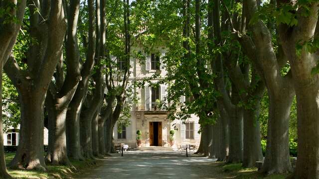 Château des Alpilles