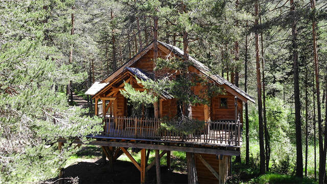 Cabane dans les arbres