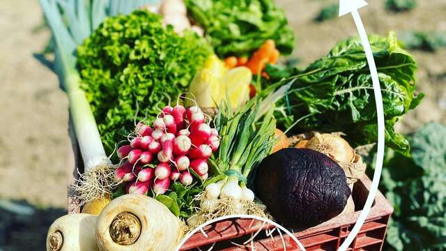 Market gardener Dutorte