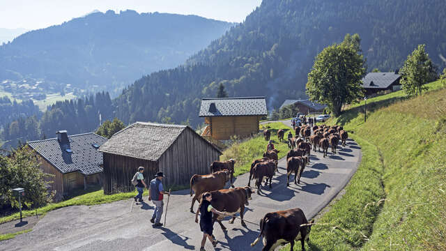 The Chablais Geopark Weeks - 2026 edition
