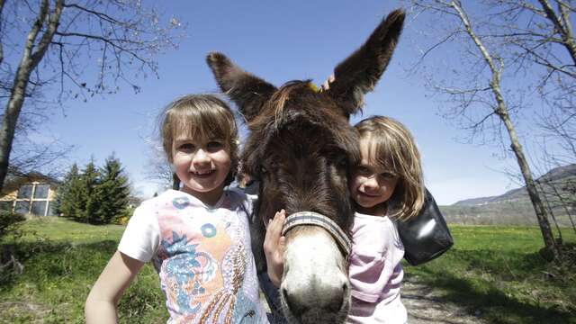 Walking path: sens et découverte des animaux de la ferme
