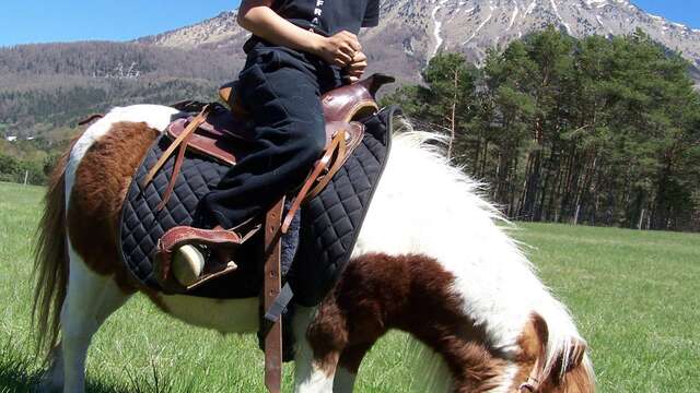 Balade à poney en main