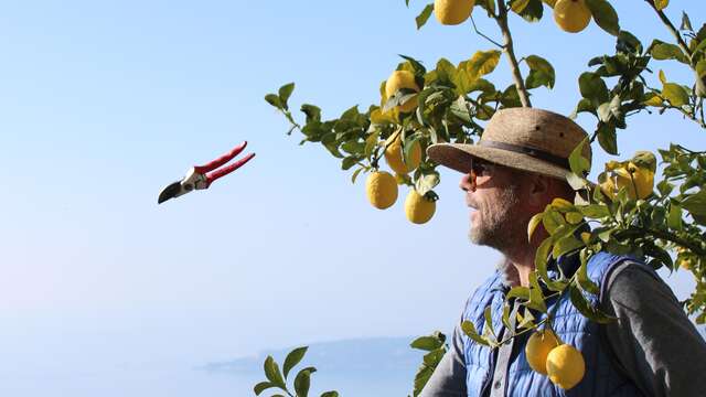 92a Festa del Limone® - Maison Gannac: visita guidata e raccolta con Laurent Gannac