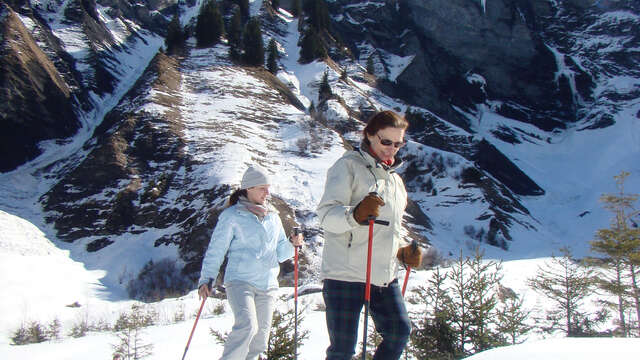 Sortie raquettes Le cirque grandiose - voir des chamois