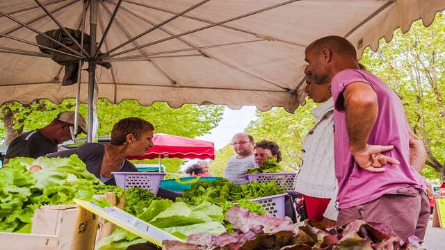 Farmer's market at Cadenet