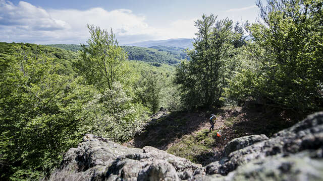 Parcours permanent de trail en orientation rouge : La Verrerie - Saint-Nicolas-des-Biefs