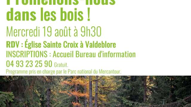 Promenons-nous dans les bois !