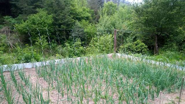 Permaculture Tour - La Ferme des Petites Fougères