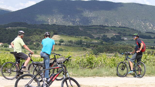 Intersport - Locations de vélos