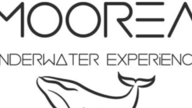 Moorea Underwater Experience - Sorties Baleines